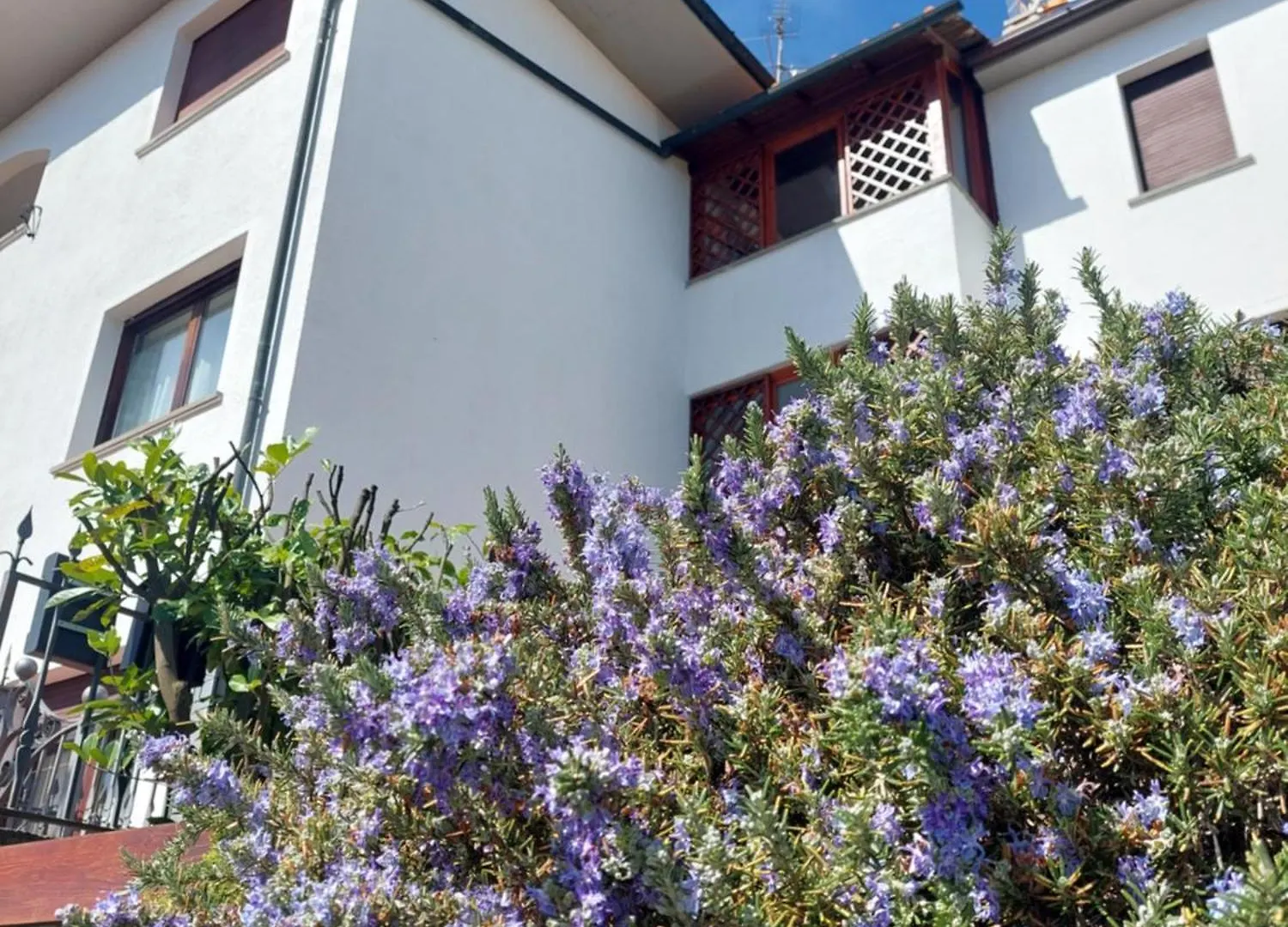 Rosa D' Inverno Piancastagnaio Holiday home