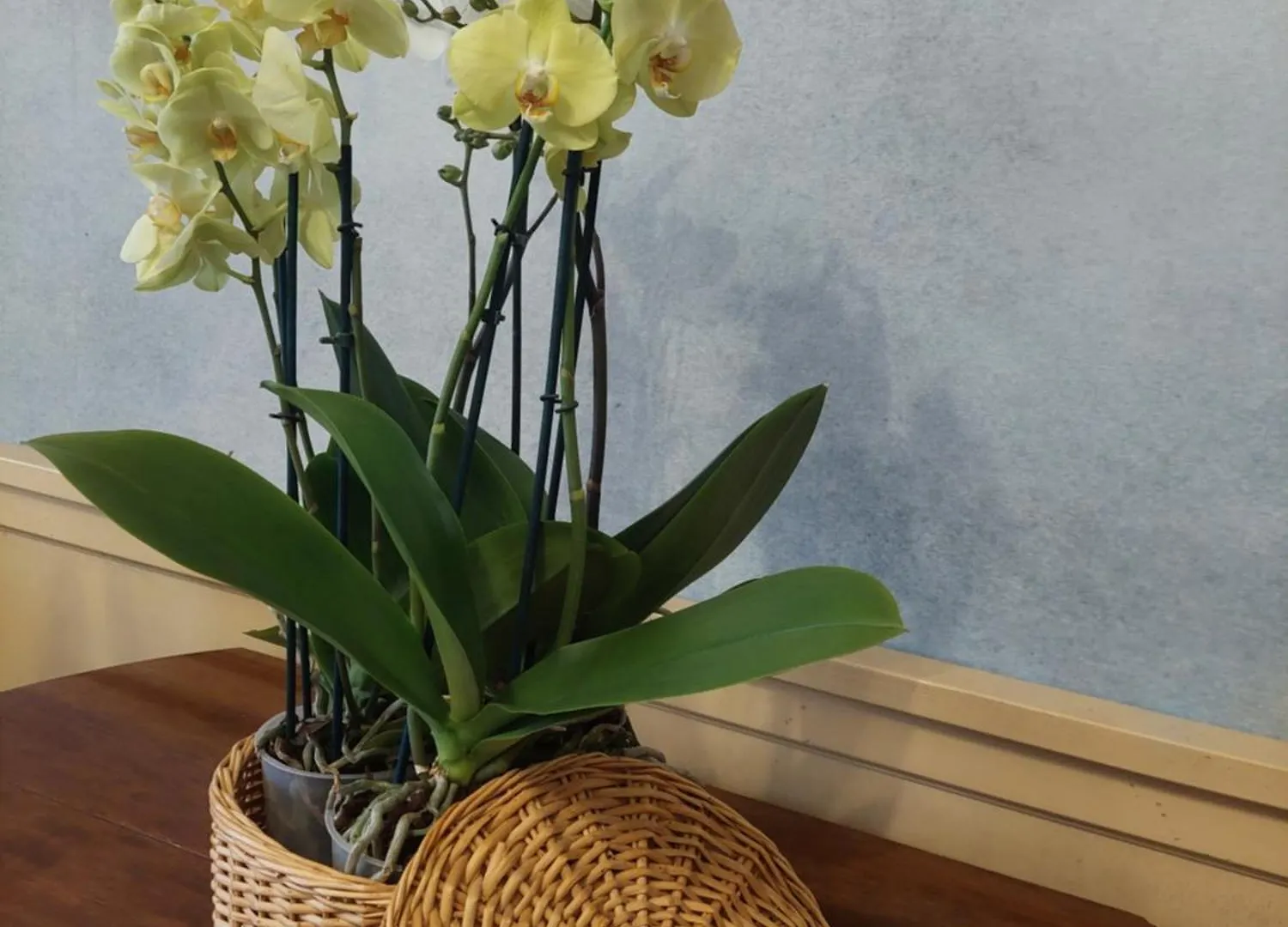 Rosa D' Inverno Piancastagnaio Holiday home